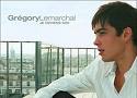 GRAND CONCERT POUR GREGORY LEMARCHAL 